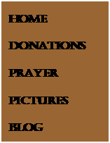 Text Box: South Africa 2007



